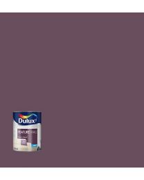 Dulux Feature Wall Paint - Mulberry Burst
