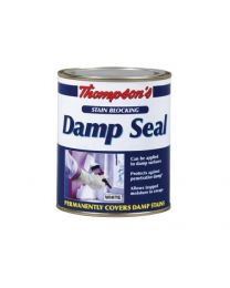 TDS250 250ml Thompsons Damp Seal