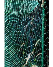 Garden Netting Net Anti Bird Pond Net Protection Water Apollo *1 pack* 6m x 4m