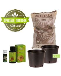 Autoflower Outdoor Grow Kit - 2 Pots
