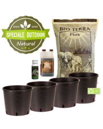 Autoflower Outdoor Grow Kit - 4 Pots