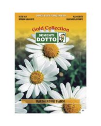 Big Daisy White - Gold Seeds By Sementi Dotto