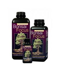 Bonsai Focus Growth Technology 1L