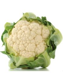 Cauliflower Atalaya F1 12 Plants - MAY DELIVERY