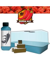 Chilli Growing Kit With Micro Air-propagator, Cubes, Chilli Focus