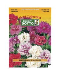 Chinese Carnation Double Flower Mix - Gold Seeds By Sementi Dotto