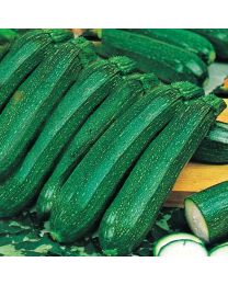 Courgette Ambassador F1 3 Plants - MAY DELIVERY