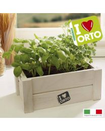 Cultivation Kit Easyorto By Verdemax - Basil And Parsley