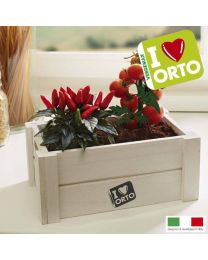 Cultivation Kit Easyorto By Verdemax - Chillies And Cherry Tomatoes