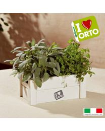 Cultivation Kit Easyorto By Verdemax - Mint And Sage