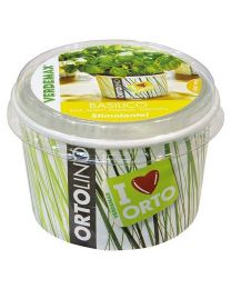 Cultivation Kit ORTOLINO Basil By Verdemax