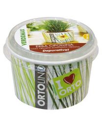 Cultivation Kit ORTOLINO Chives By Verdemax