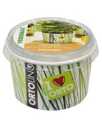 Cultivation Kit ORTOLINO Lemon Balm By Verdemax