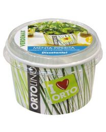 Cultivation Kit ORTOLINO Peppermint By Verdemax