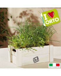 Cultivation Kit Verdemax Easyorto - Rocket And Chive