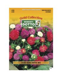 Dwarf Aster Double Flower - Gold Seeds By Sementi Dotto