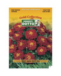 Dwarf Marigold (Tagetes Patula) - Gold Seeds By Sementi Dotto 1.8gr