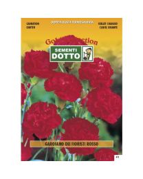 Florist Carnation Red - Gold Seeds By Sementi Dotto