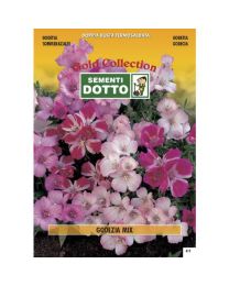 Godetia Flower Mix- Gold Seeds By Sementi Dotto
