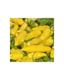 Habanero Neon Yellow - 10 X Pepper Seeds
