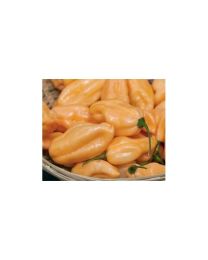 Habanero Peach - 10 X Pepper Seeds