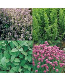 Herbs Garden Collection - MAY DELIVERY