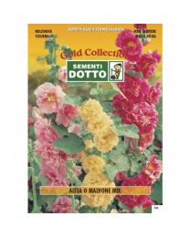 Hollyhock ( Althea Rosea) - Gold Seeds By Sementi Dotto 0.7gr