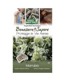 Horehound Herb Seeds (Marrubium Vulgare) By Sementi Dotto