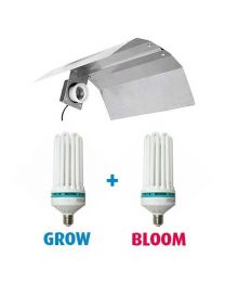 Kit CFL 125W Grow + 125W Bloom