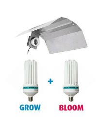 Kit CFL 200W Grow + 200W Bloom