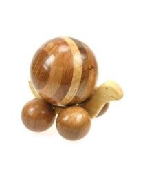 Large Mixed Wood Snail