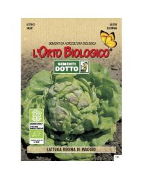 LETTUCE MAY SPRING 3,5gr - Bio Garden Seeds By Sementi Dotto