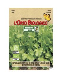 LETTUCE OAK LEAVES 0,1gr- Bio Garden Seeds By Sementi Dotto