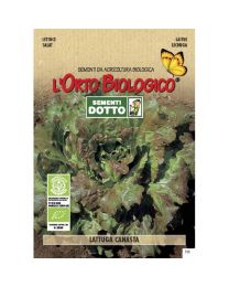 LETTUCE SATIVA 2,4gr - Bio Garden Seeds By Sementi Dotto