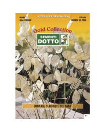 Lunaria Pope\'s Money - Gold Seeds By Sementi Dotto
