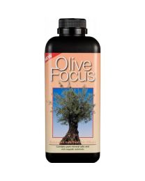 Olive Focus - Growth Technology 1L