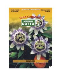 Passion Flower (Passiflora Coerulea) - Gold Seeds By Sementi Dotto 0.16gr