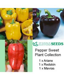 Pepper Sweet Plant Collection - 1 Ariane, 1 Redskin & 1 Mavras - MAY DELIVERY