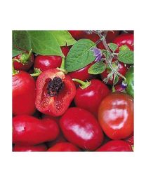 Rocoto Ecuadorian Red - 10 X Pepper Seeds