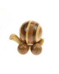 Small Mixed Wood Snail