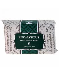 Soap, Eucalyptus