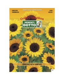 Sunflower (Helianthus Annuuns) - Gold Seeds By Sementi Dotto - 8gr