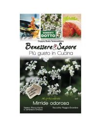 Sweet Cicely Seeds (Myrrhis Odorata) By Sementi Dotto