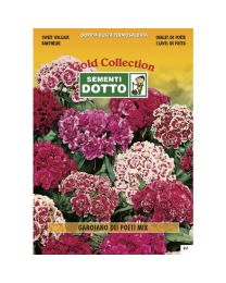 Sweet William (Dianthus Barbatus) Mix - Gold Seeds By Sementi Dotto 2.5gr