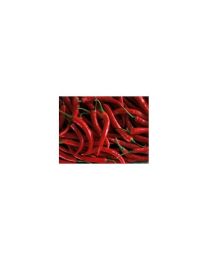 Thai Red Hot - 10 X Pepper Seeds