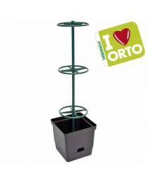 Vine Planter By Verdemax - I LOVE ORTO.