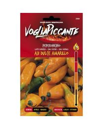 VogliaPiccante Pepper Seeds - Aji Dulce Amarillo