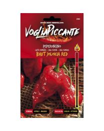 VogliaPiccante Pepper Seeds - Bhut Jolokia Red