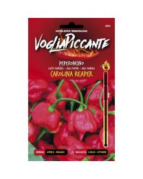 VogliaPiccante Pepper Seeds - Carolina Reaper