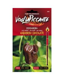 VogliaPiccante Pepper Seeds - Habanero Chocolate
